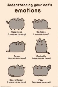 Plakat Pusheen (Cats Emotions)